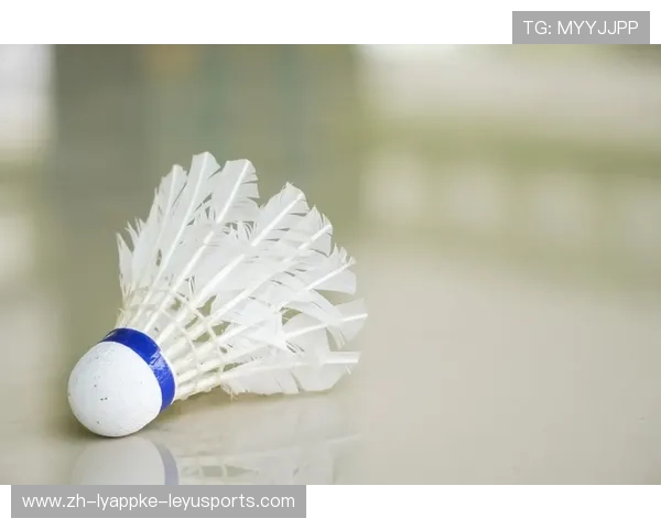 羽毛球回球的弧度